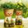Szep_estet_1669215_5984_t