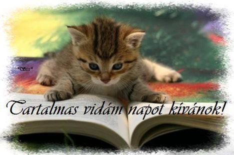 Tartalmas vidam napot kedves Barataim!