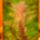 201103ut_meseorszagba_1066180_9018_t