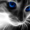 900x900px-LL-2fcc785b_Blue-Eye-Cat-fractal-tigers-and-cats-animals-animal-cat-Fractalius-cartoon-faces-funny-loved-sexy-digitalart-zbyszek_large