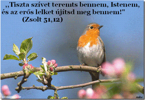 Áldott,szép napot  kivánok!