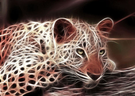 animal-fractal-wallpaper-blog