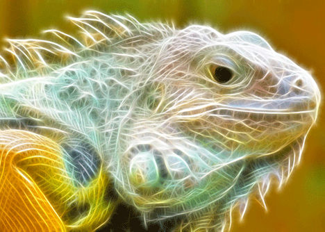 animal-fractal-wallpaper-iguana