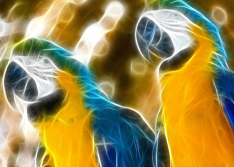 animal-fractal-wallpaper-parrot