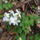 Bukk_5_1660822_8806_t