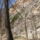 Bukk_hegyseg_8_1660213_1107_t