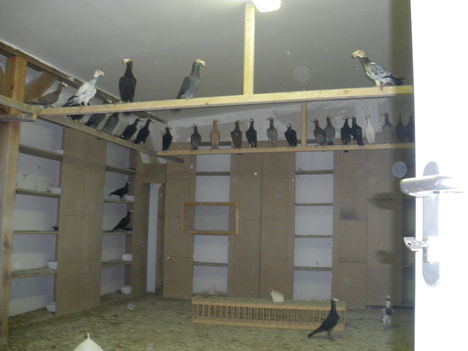 IMGP0052