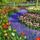 Kellemes_szep_uj_hetet_1660181_2599_t