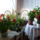Viragok_1660973_7309_t
