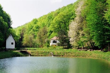 Duna-Dráva-Nemzeti-Park
