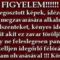 FIGYELEM