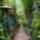 Las_pozas_garden_1675079_2565_t