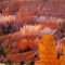 Bryce Canyon 5