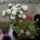 Egybe_fotozva_1677008_5816_t