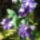 Harnglab_1677988_4995_t