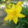 Kozelebrol_1677354_2243_t