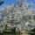 Tavasz_a_kertben_3_1677571_3277_t