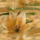 Uj_het_kezdodik_csodas_hetfot_kivanok_1677502_8239_t