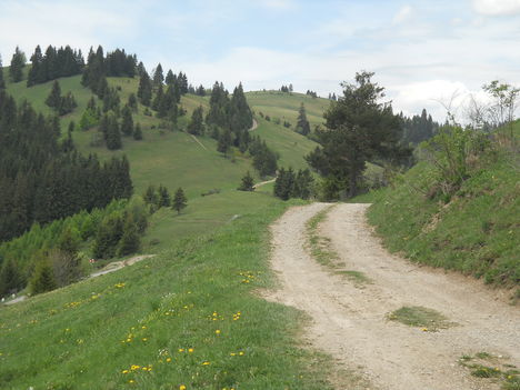 Csiki havasok-Gyimesi hágó (Fügés tető)