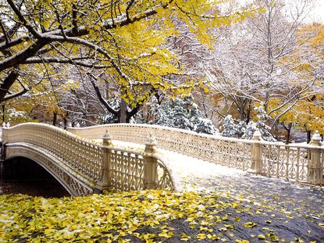 Az első hó - Central Park New York
