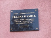 Feleki Kamill