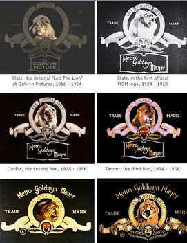 filmstúdiók Metro Goldwyn and Mayer - MGM - logó