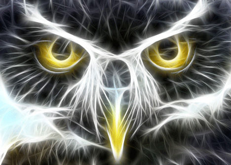 fractal-animal-wallpaper-owl