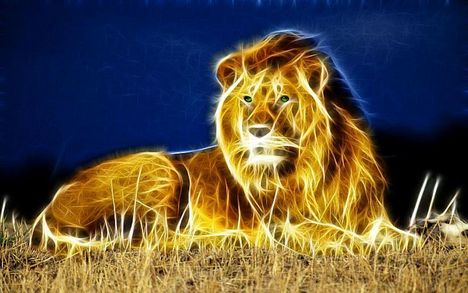 fractal-lion-255078