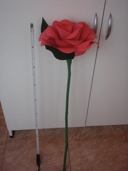 giga rózsa