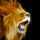 Lion_fractal_by_xshiirleyd31c5tx_1607897_7474_t