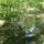 A_jelzett_uton_gyakran_ilyen_pocsolyak_nehezitettek_a_gyors_menetet_1682993_5343_t