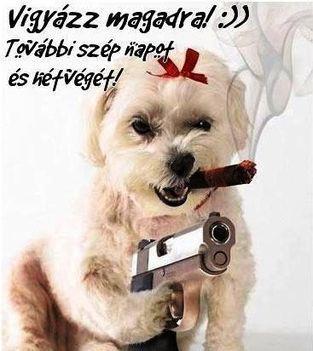 Szép napot és kellemes hétvégét!