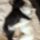 Hne_4_1687562_3991_t