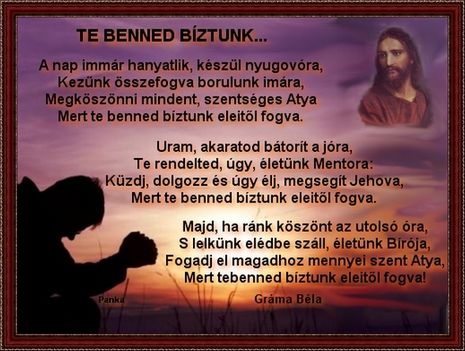 Te benned bíztunk