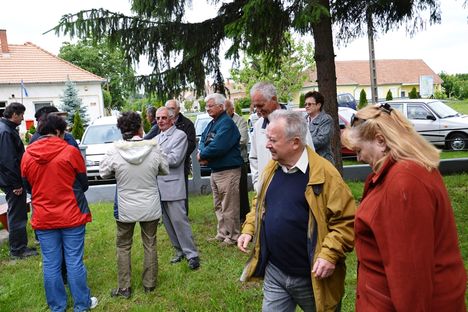 Árpás 2013 11