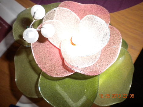harisnyaviragok,nylon flower,meia de seda 12