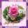 Szep_napot-004_1688308_1132_t
