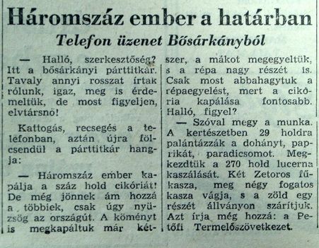 Üzenet Bősárkányból, Kisalföld, 1961.05.06. 3