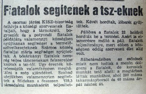 Bősárkány, Páli, Tamási. Kisalföld, 1960.06.31. 5