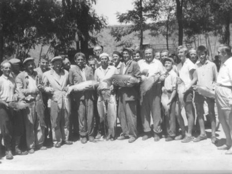 horgász verseny 1950