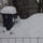 Margaretak_helyett_ezt_kaptuk_ma_2_1608745_4403_t
