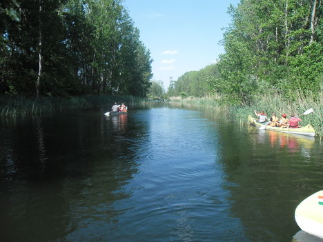 Szigetközi túra 5