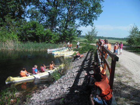 Szigetközi túra 6