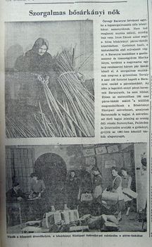 Szorgalmas bősárkányi nők. Kisalföld, 1960.09.01. 6.o