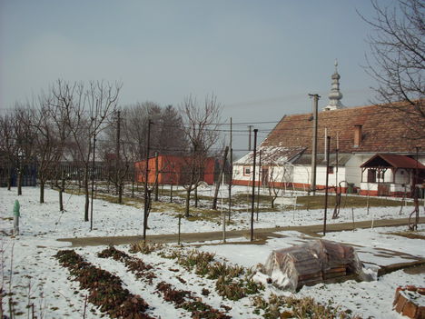 Téli kert1
