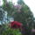 Illatosan_1691226_9430_t