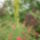 Kertreszlet-011_1691087_7541_t