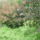 Kertreszlet-012_1691351_5382_t