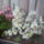 Orchidea-012_1691086_8962_t