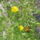 P1130013_1691354_9735_t
